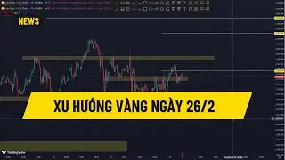 XU HƯỚNG V&Agrave;NG NG&Agrave;Y 26/2 |Tchannel |