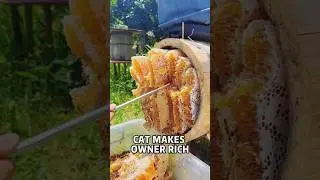 Do you know how Chinese people keep bees inside tree trunks #shorts