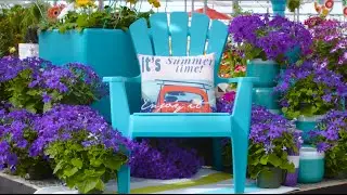 Curb appeal with TERRA featuring Carson Arthur