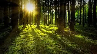 Ultimate 4K Nature Relaxation Film (Peaceful Music) - Ultra HD