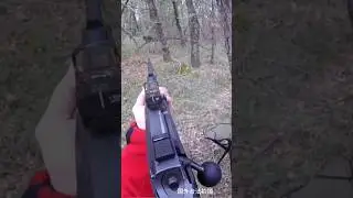 Wild Boar Hunt Up Close | Intense Hunting Moment 🐗#WildBoarHunting #BoarHunt #CloseShot