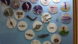 RMNH Mysore - Biological Diversity