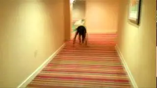 Planking Stop Motion
