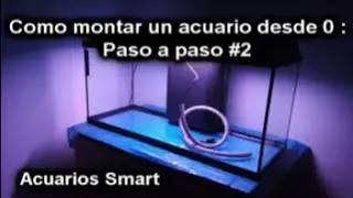 Como montar un acuario desde 0 : Paso a Paso #2