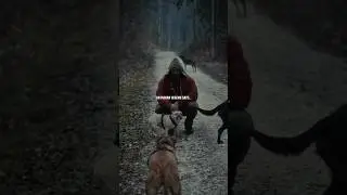 Легенда 🐕 #необижайтеживотных #собакилучшелюдей #dog