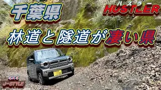 【柚ノ木林道】新型ハスラーで千葉の隧道チャレンジ😊　#女性ひとり  #柚ノ木　#林道