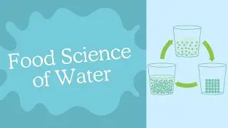 Food Science Water | RD Exam Ready Podcast