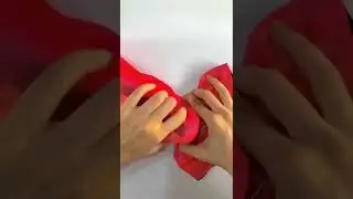 Saree Brooch Hack | DIY Saree Brooch |diy hacks | fashion hacks |style hacks | styling|fashion ideas