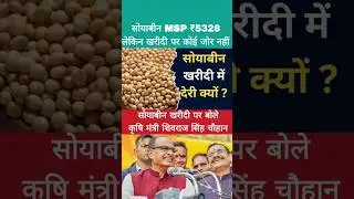 सोयाबीन MSP खरीद पर क्या बोले कृषि मंत्री शिवराज सिंह चौहान| soyabin msp par kya bola shivaraj ji ne