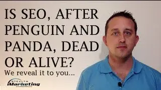 Brisbane SEO Experts Answer If Search Engine Optimization Is Dead Or Alive... And Why