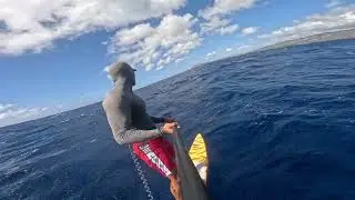 INVESTING OFFSHORE (DOWNWIND SUP FOIL HAWAII)