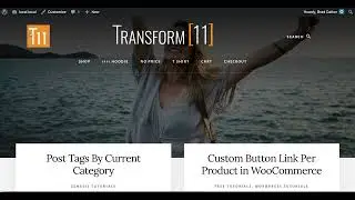 Custom Logo Site Title Image Search Inline Essence Pro