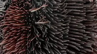 Responsive Surface, 2015