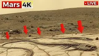 NASA Mars Rover Captures New 4K 360&deg; Footage of Mars SOL 1546! Mars Perseverance Rover Video