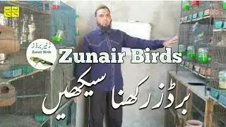 How to keep birds|Part time profitable birds business 2022|Zunair Birds