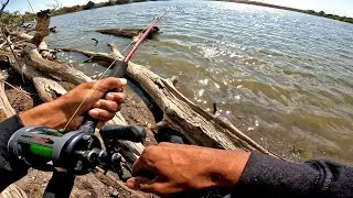 Ловля сома в конце сезона!