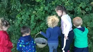 Blackberry Activities at Forest School | Unique Beginnings Childcare | Surrey, UK - [HD]