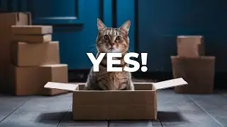 Do Cats Really Know Their Own Names?