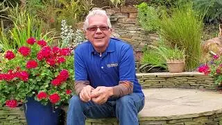 No. 1 Introduction to Garden Sanctuary