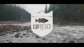 Bass Brigade comercial