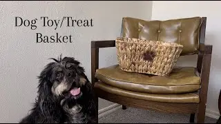 Keep Playtime Organized with FairyHaus Dog Toy Basket!