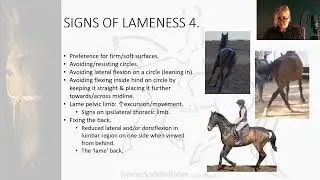 Recognising Equine Compensatory Gait & Lameness 4 min excerpt from the 1hr 20min webinar replay.