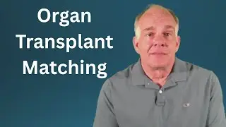 Organ Matching Crisis: Where Science Meets Ethics