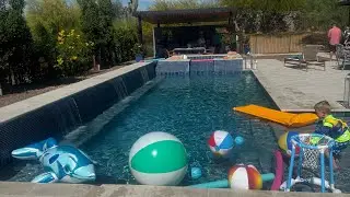 Dolphin Pools | Backyard Paradise | Luxury Swimming Pools