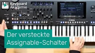 Der versteckte Assignable-Schalter | Power-Tipp