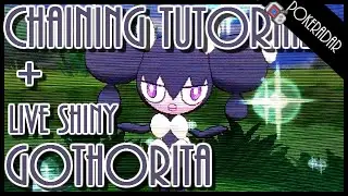 LIVE!! Shiny GOTHORITA + SHINY PATCH + CHAINING TUTORIAL!!