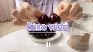 day in my life vlog- Sandwich Recipe 🥪 Samyang Buldak Carbonara🍜