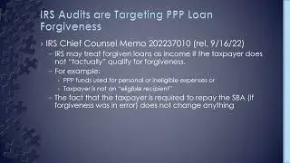 IRS Audit Alert   PPP Loans