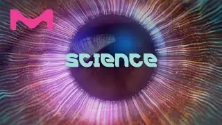 Science is everywhere &ndash; where are you?