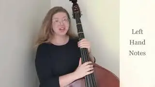 Contrabass | Left Hand Notes