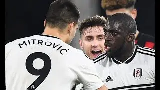 Aleksandr Mitrovic and Aboubakar Kamara 'separated by Fulham team mates after alleged f ight'