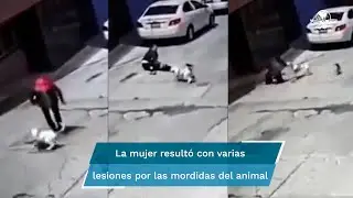 Pitbull ataca a mujer en Puebla; due&ntilde;os no quieren responder por las lesiones