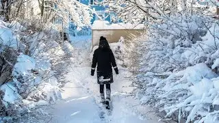 First Snow of this winter in Iceland #iceland #snowfall #snow