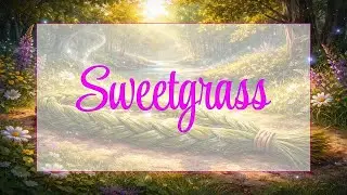 Sweetgrass (Wiingashk) 🌾 Bringing in the Good, Braiding Lore, Sacred Uses | Ditch Witch Diaries
