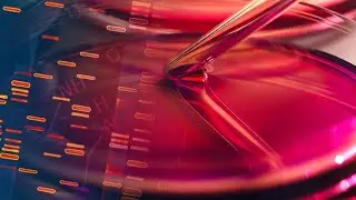 How I Got Started In Science: The K-12 Journey