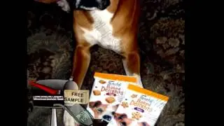 Free Sample Beneful Baked Delights Dog Treats