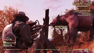 Meat Week Primal Cuts & Grahm's Meat-Cook Events Fallout 76
