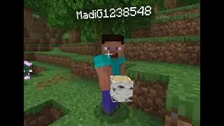 Getting Our Pets!   Teaching My 5-Year-Old Sister How To Play Minecraft!!! PART 2!