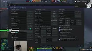 Taiga Dota 2 Settings