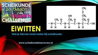 Eiwitten, wat je moet weten bij scheikunde