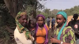 Along Senegal River