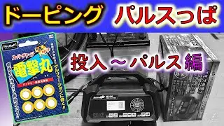 【電撃丸+パルスっぱ 投入編】廃棄バッテリ再生チャレンジ 第２章 添加剤の力とパルスでどこまで再生できるのか！開始です