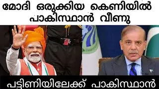 Pakistan is falling into the trap set by Modi | Narendra modi malayalam | Pakistan india war