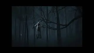 the blur woods