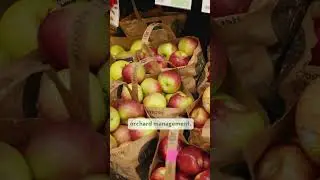 Eco-Certified