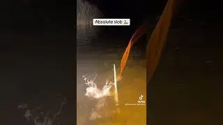 Bowfishing snakeheads!